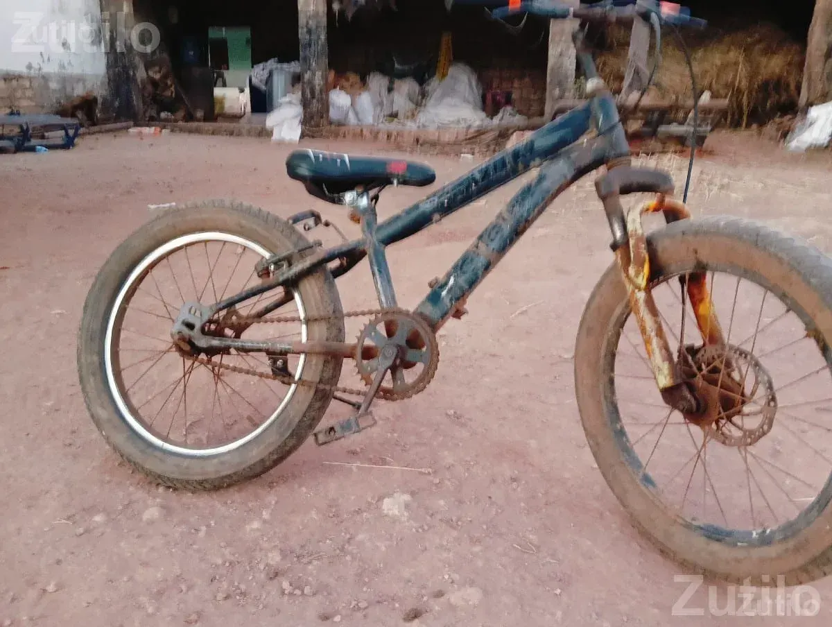 Fat Tyre Bicycle 3 Years Old - સાયકલ - કલ્યાણપુર - Image 2