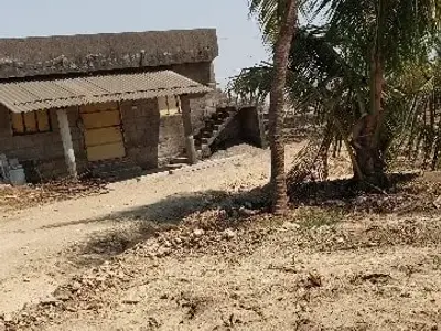 5 Bigha Agriculture Land in Mangrol