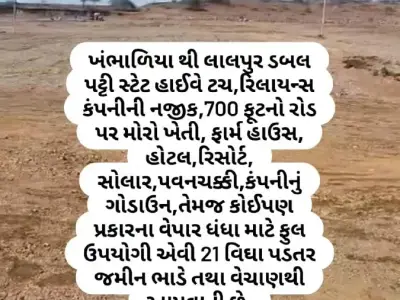 21 Vigha Highway Touch Land for Sale 21 Vigha Highway Touch Land for Sale