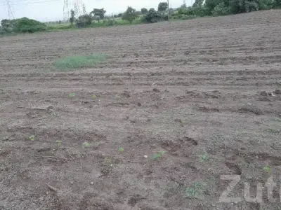 Jamjodhpur Bhanvad Agricultural Land Jamjodhpur Bhanvad Agricultural Land