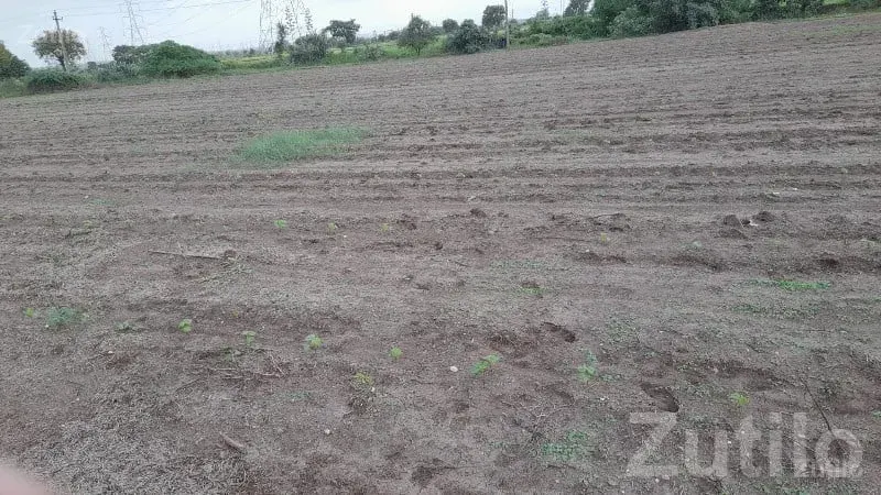 Jamjodhpur Bhanvad Agricultural Land - જમીન અને પ્લોટ - જામજોધપુર - Image 1