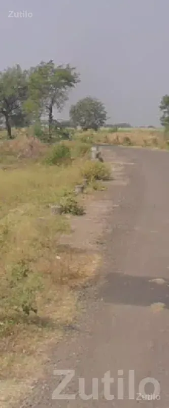 Open Agricultural Land in Savarkundla - Land & Plots - Savarkundla - Image 2