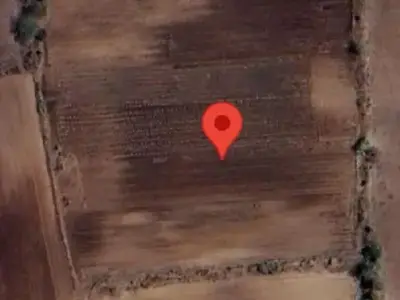 12.5 Bigha Agricultural Land for Sale