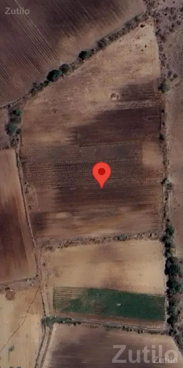 12.5 Bigha Agricultural Land for Sale - Land & Plots - Virpur - Image 1