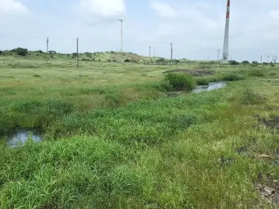 જામનગરમાં જમીન લેવા વેચવા માટે જામનગરમાં જમીન લેવા વેચવા માટે