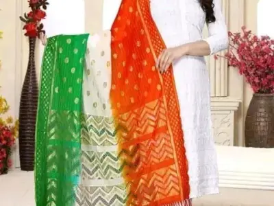 Women Tricolor Net Dupatta with Zari Work Women Tricolor Net Dupatta with Zari Work