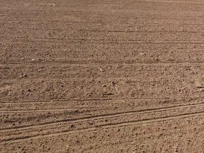 70 Vigha Agricultural Land for Sale 70 Vigha Agricultural Land for Sale