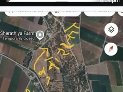 Visavadar Agriculture Land for Sale
