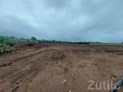 Fertile Open Land in Jambhalata Village
