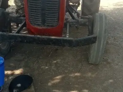 મેસી મેસી
