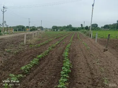 1એકર જમીન રોડ ટચ 1એકર જમીન રોડ ટચ