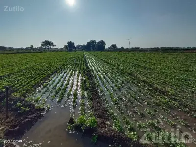 Fertile Agricultural Land for Sale Fertile Agricultural Land for Sale