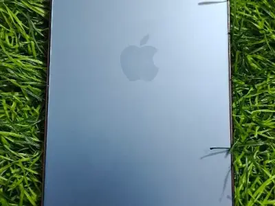 ha ha