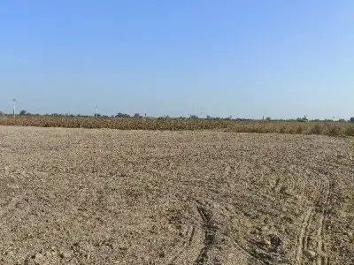 14.5 Vigha Open Agricultural Land Plot 14.5 Vigha Open Agricultural Land Plot