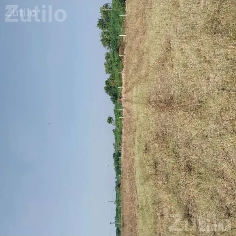 9 Vigha Agricultural Land with Water and Fencing - જમીન અને પ્લોટ - કુંકવાવ - Image 3