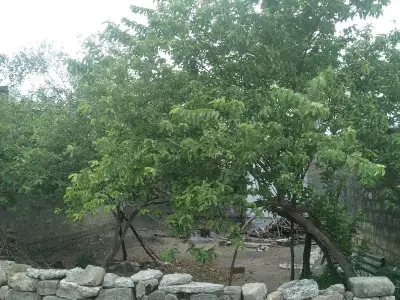 Residential Plot for Sale in Balakrishna Society Residential Plot for Sale in Balakrishna Society