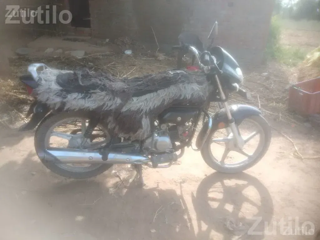 Black Hero Bike 2023 Model - Bikes - Petlad - Image 4