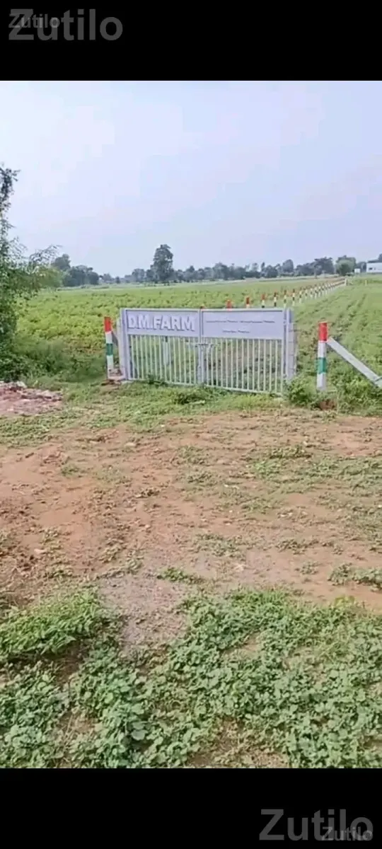 2.10 Bigha Highway Touch Land for Sale - જમીન અને પ્લોટ - વિજાપુર - Image 5