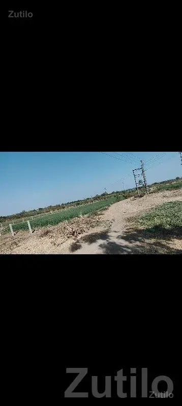 Green Agricultural Land for Sale Rajkot - Land & Plots - Rajkot City - Image 2
