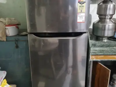 Fridge Fridge