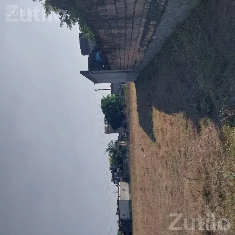 9 Vigha Agricultural Land with Water and Fencing - જમીન અને પ્લોટ - કુંકવાવ - Image 2