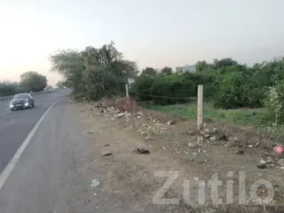 Road Touch Fertile Agriculture Land Dhrol Road Touch Fertile Agriculture Land Dhrol