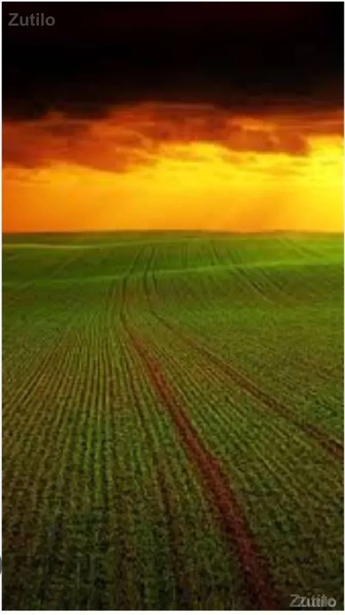 💫ગુજરાત પ્રોપર્ટી 💫 - Land & Plots - Mangrol - Image 3