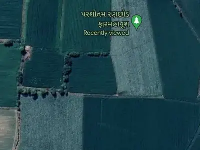 12.5 Vigha Agricultural Land with Water Source