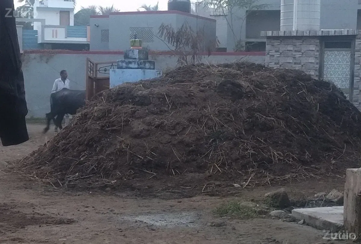 ઉકરડો વેચવો છે - Land & Plots - Somnath - Image 2