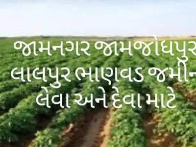 જમીન વેચવાની છે જમીન વેચવાની છે