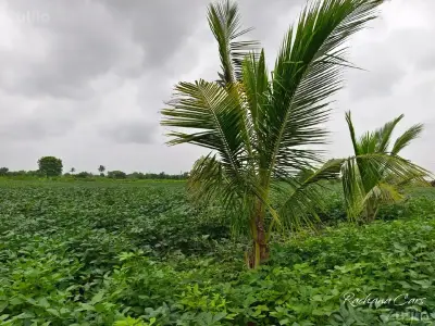 જમીન રોડ ટચ વેચવાની છે. જમીન રોડ ટચ વેચવાની છે.