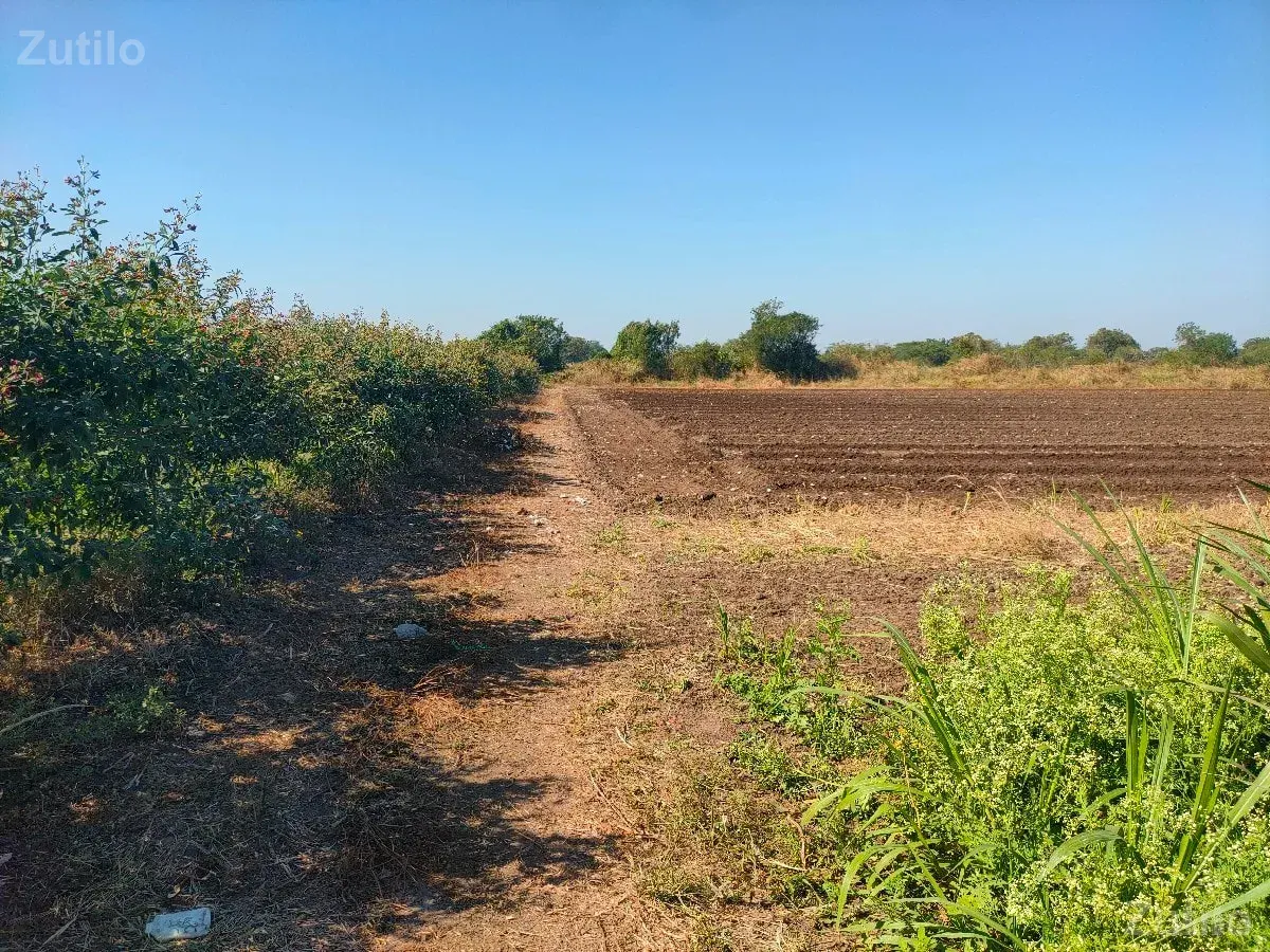 ખેતી ની જમીન વેચવા ની છે - Land & Plots - Jamkandorna - Image 3