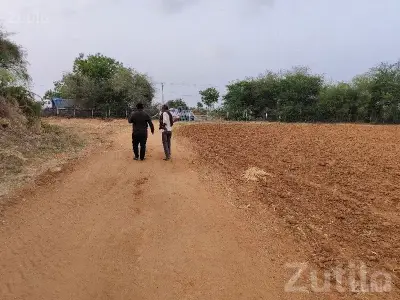 Rapar Roadside Farm Plot for Sale Rapar Roadside Farm Plot for Sale