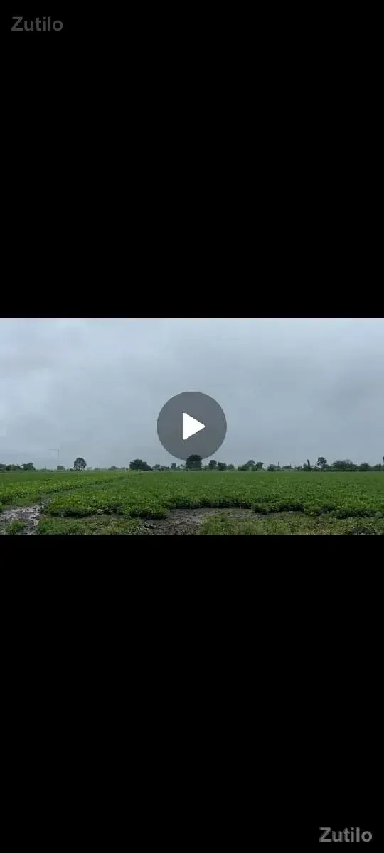 150 વીઘા વેચવાની છે ગામ ટચ - જમીન અને પ્લોટ - બાબરા - Image 3