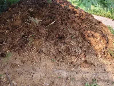 ખાતર ખાતર