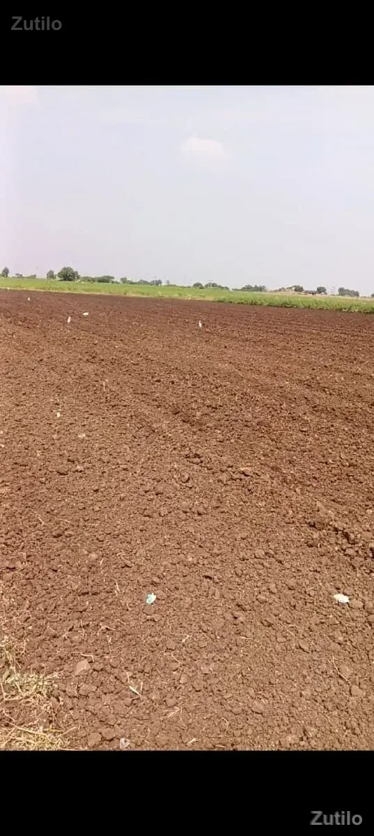 જમીન વેચવાની છે જુનીચરતની - જમીન અને પ્લોટ - જસદણ - Image 2