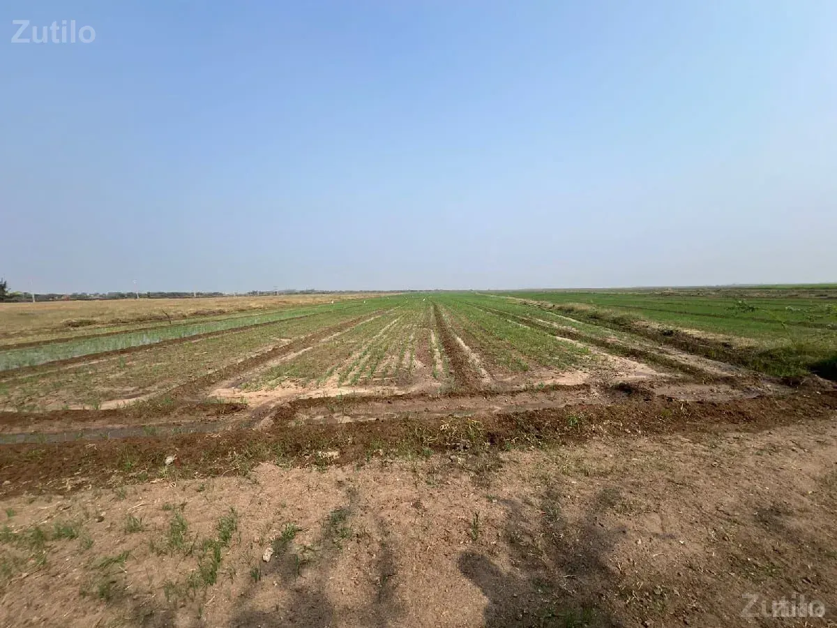 જમીન વેચવાની છે 
સોમનાથ દ્વારકા - Land & Plots - Gandhinagar City - Image 2