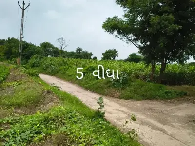 25 Vigha Agricultural Land, Bhanvad 25 Vigha Agricultural Land, Bhanvad