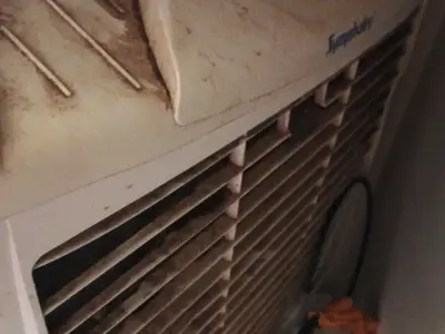 2 Air Cooler Symphony and Mccoy