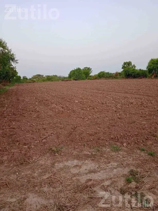 4 Vigha Agricultural Land for Sale - Land & Plots - Chanasma - Image 3