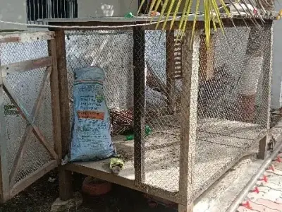 Wooden Wire Mesh Animal Cage for Sale Wooden Wire Mesh Animal Cage for Sale