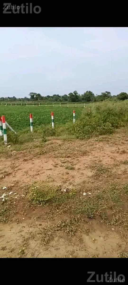 2.10 Bigha Highway Touch Land for Sale - જમીન અને પ્લોટ - વિજાપુર - Image 2