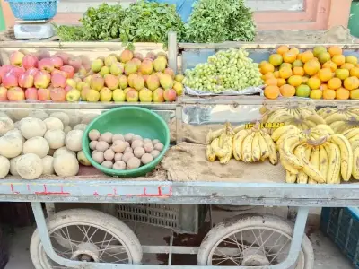 Steel Fruit Vending Cart with Wheels