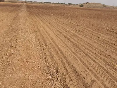 40 Vigha Agricultural Land on Share Basis 40 Vigha Agricultural Land on Share Basis