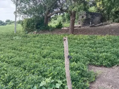જમીન વેચવાની છે જમીન વેચવાની છે