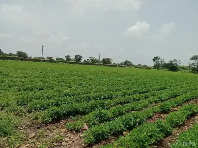 જમીન વેચવાની જમીન વેચવાની