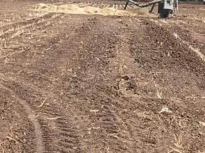 Fertile Open Agricultural Land Khambhalia Fertile Open Agricultural Land Khambhalia