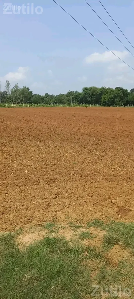 9 to 10 Vigha Road Touch Land with RCC Wall - Land & Plots - Nadiad - Image 2