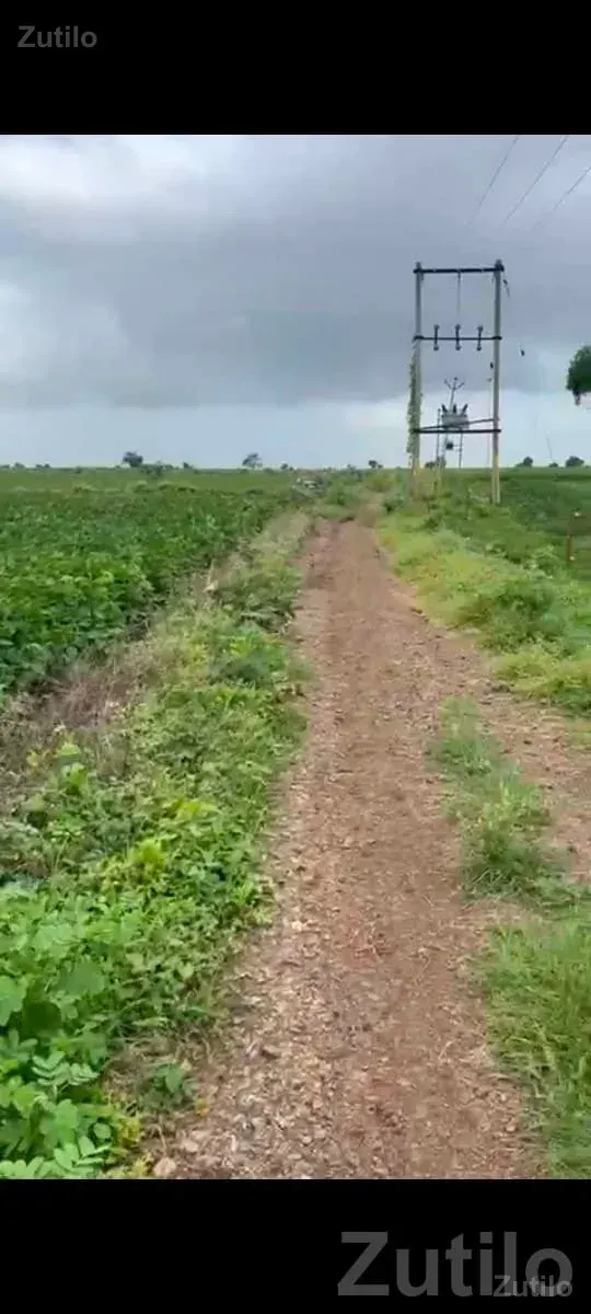 Fertile Agricultural Land in Lathi - Land & Plots - Lathi - Image 2