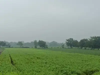 વેચવાની છે વેચવાની છે
